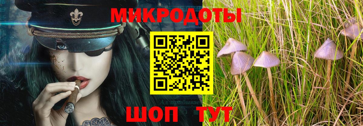 Псилоцибиновые грибы прущие грибы  Вход с VPN  Черняховск 